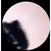 Video sticker 😄 так @TgEmodziBot