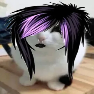 Telegram sticker 🌟 Франц пак(создан:@NotChurka1) :: @fStikBot