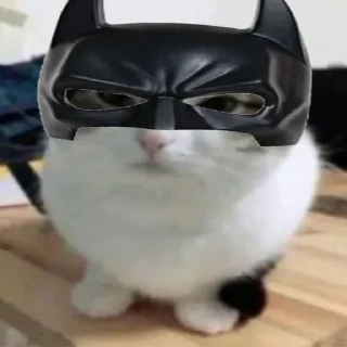 Telegram sticker 🌟 Франц пак(создан:@NotChurka1) :: @fStikBot