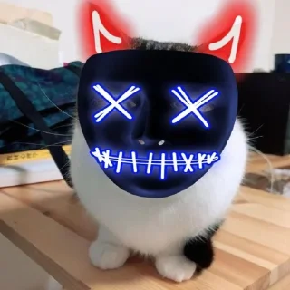 Video sticker 🌟 Франц пак(создан:@NotChurka1) :: @fStikBot