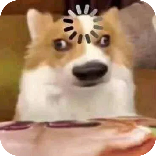 Telegram sticker 🤨 Join @LIAR_GAME_Hindiii
