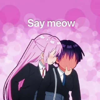 Video sticker 😂 Meoow