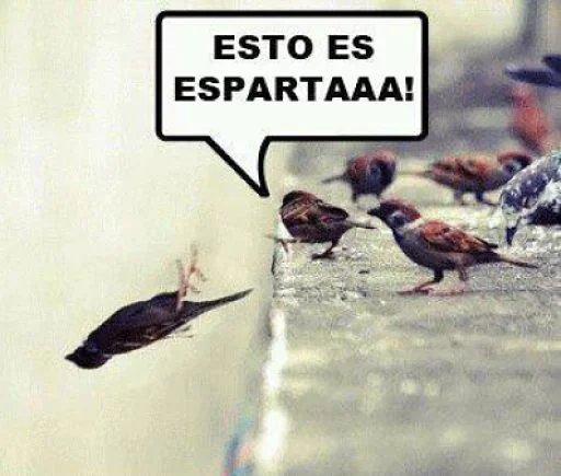 Telegram sticker 😡 Figueroa :: @fStikBot