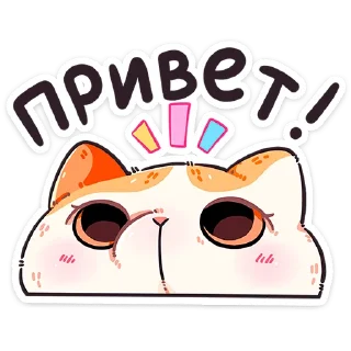 Video sticker 😥 Фасолька от @TgSticker