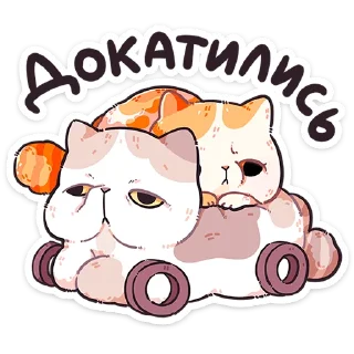 Video sticker 🐱 Фасолька от @TgSticker
