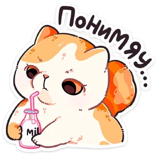 Telegram sticker 🐱 Фасолька от @TgSticker