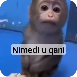 Video sticker 🌟 Ahliddin_org :: @fStikBot
