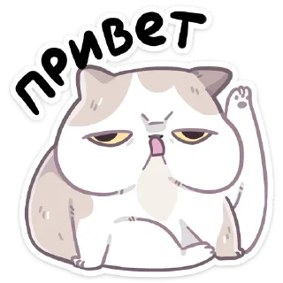 Video sticker 👋 Йогурт (@TgSticker)