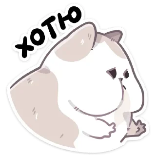 Video sticker 🤩 Йогурт (@TgSticker)