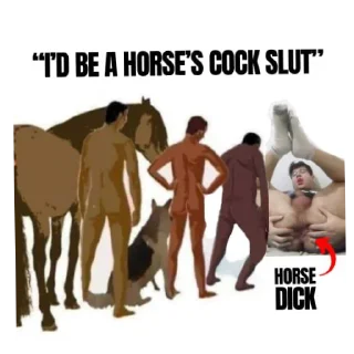 Video sticker 🐴 Bloo292