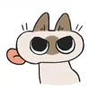 Video sticker 😝 Siamese Cat Live @...