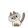 Video sticker ❓ Siamese Cat Live @...