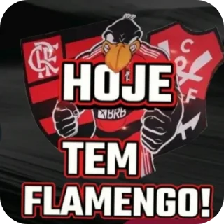 Sticker 👍 Flamengo visão