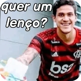Video sticker 👍 Flamengo visão