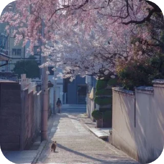 Telegram stiker 👍 Unfair