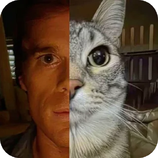 Telegram sticker 😐 hmmlol