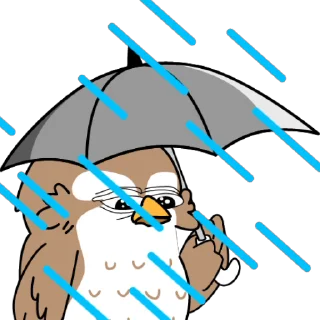 Video sticker 😭 Falcon Finance