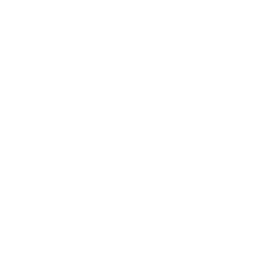 Sticker 🐫 Animals Adaptive (@NDFoundry's import)
