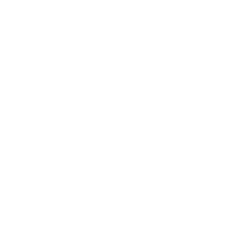 Sticker 🐻 Animals Adaptive (@NDFoundry's import)