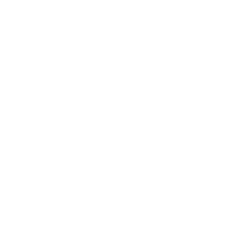 Sticker 🐜 Animals Adaptive (@NDFoundry's import)