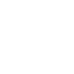 Sticker 🐉 Animals Adaptive (@NDFoundry's import)