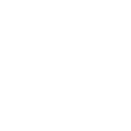 Sticker 🐜 Animals Adaptive (@NDFoundry's import)