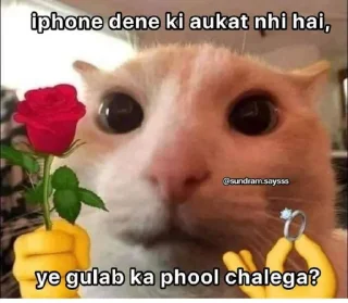 Telegram stiker 🥲 @Opstickerpacks 💖 cat memes 🍃