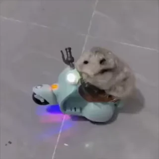 Телеграм стикер 😃 ملصقات العم @Apx7o