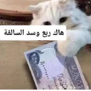 Телеграм стикер 🌊 ملصقات العم @Apx7o