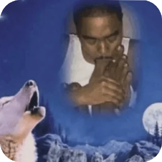 Video sticker 🐶 @LP6704SV