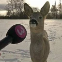 Telegram sticker 🎤 ohhellno