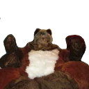 Telegram sticker 🙈 ohhellno