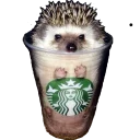 Telegram sticker ☕️ ohhellno