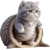 Sticker 😶 Полосатый котёнок 2 @Nyasticks
