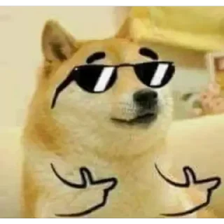 Video sticker 🤘 2 (@CalsiBot)