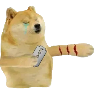 Telegram sticker 😭 𝙎𝙃𝙐𝘽𝙃𝘼𝙈 𝙍𝘼𝙅 @coolpackss