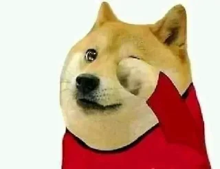 Telegram sticker 😢 𝙎𝙃𝙐𝘽𝙃𝘼𝙈 𝙍𝘼𝙅 @coolpackss