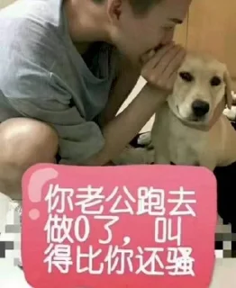 Telegram sticker 😀 雄性荷尔蒙 👉  @xiongxing1