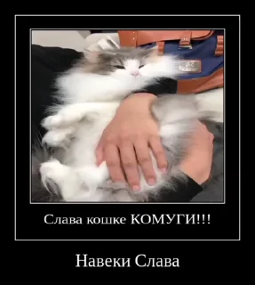 Video sticker 🌟 Демики и не только от юзера2. :: @fStikBot