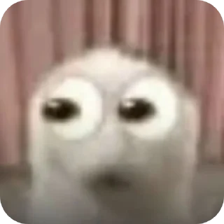 Telegram stiker 👍 Попок жохпоп