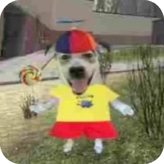 Telegram stiker 🎢 Попок жохпоп