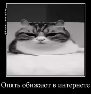 Video sticker 😋 ko @StickersPackRobot