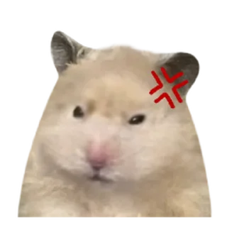 Telegram sticker 🫥 어쩔햄스터