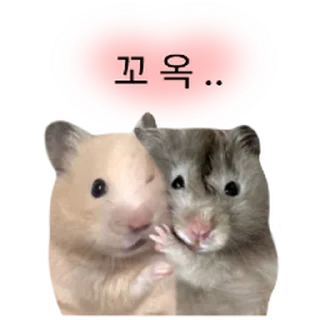 Telegram sticker 🫥 어쩔햄스터