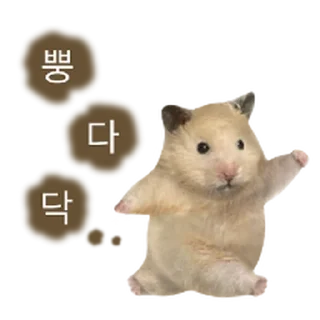 Telegram sticker 🫥 어쩔햄스터