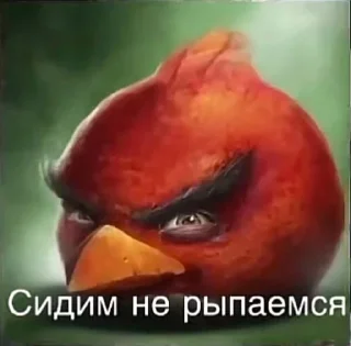 Video sticker 🤩 @pusese