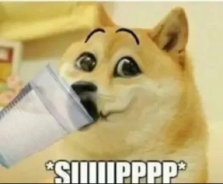 Video sticker 😂 AbuSamadBorhan