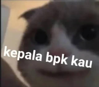 Video sticker 😂 AbuSamadBorhan