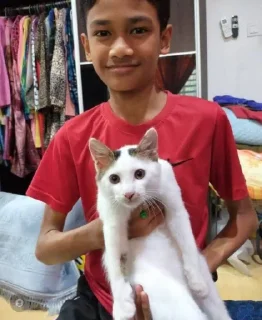 Telegram sticker 😂 AbuSamadBorhan