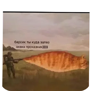 Video sticker 🖼 Стикеры Нетряпочного